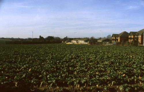 Gordon Fields - from Gordon Square towards Minnis Road